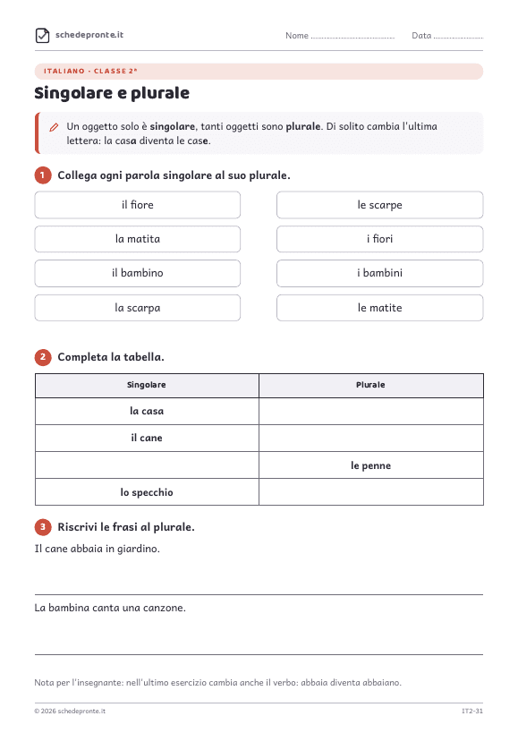 Anteprima della scheda Singolare e plurale
