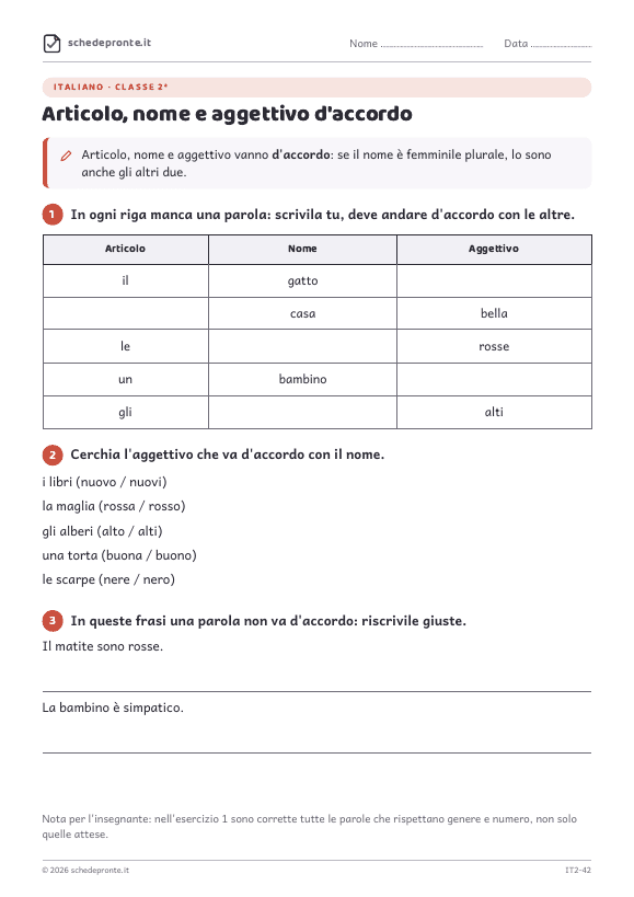 Anteprima della scheda Articolo, nome e aggettivo d'accordo