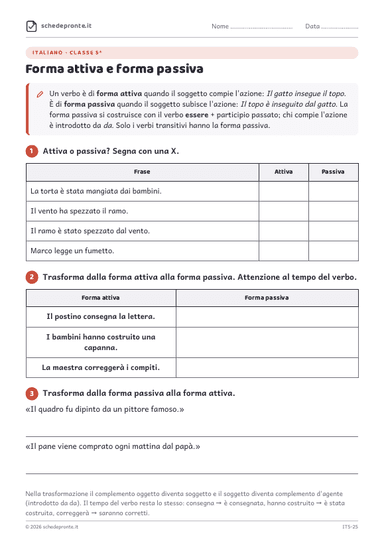 Anteprima scheda IT5-25