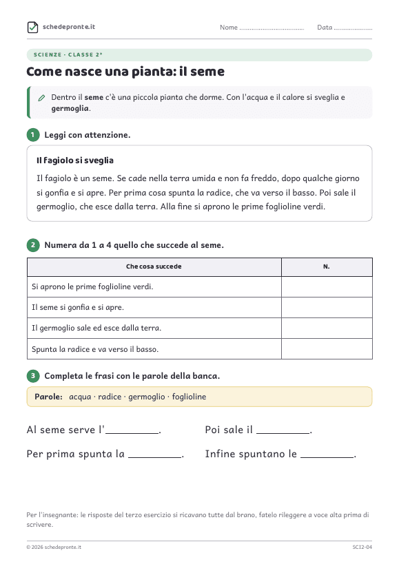 Anteprima della scheda Come nasce una pianta: il seme