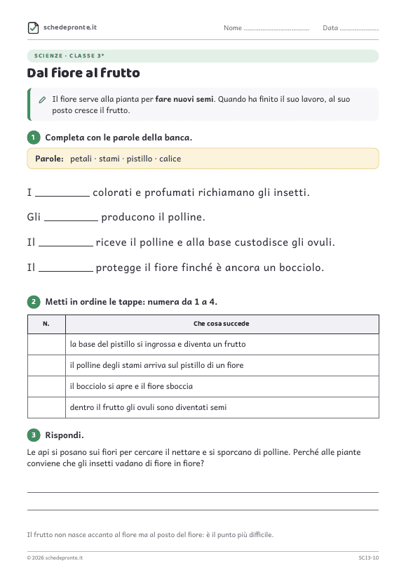 Anteprima della scheda Dal fiore al frutto