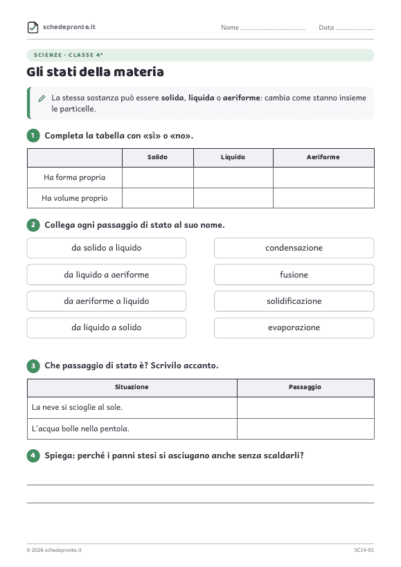 Anteprima della scheda Gli stati della materia