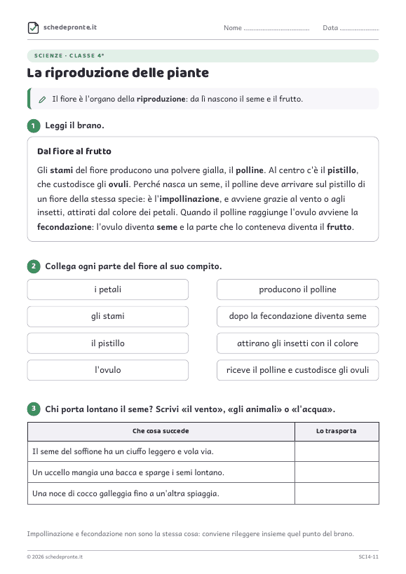 Anteprima della scheda La riproduzione delle piante