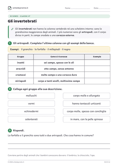 Anteprima scheda SCI4-12