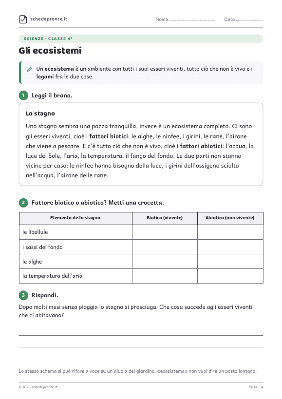 Anteprima della scheda Gli ecosistemi