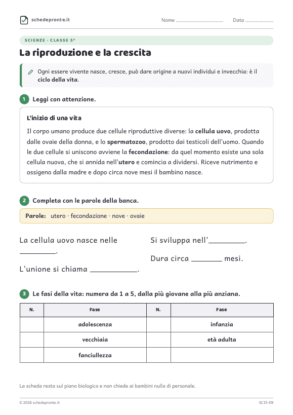 Anteprima della scheda La riproduzione e la crescita